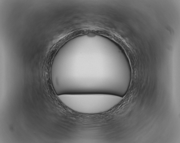 X0000115551303200911061118