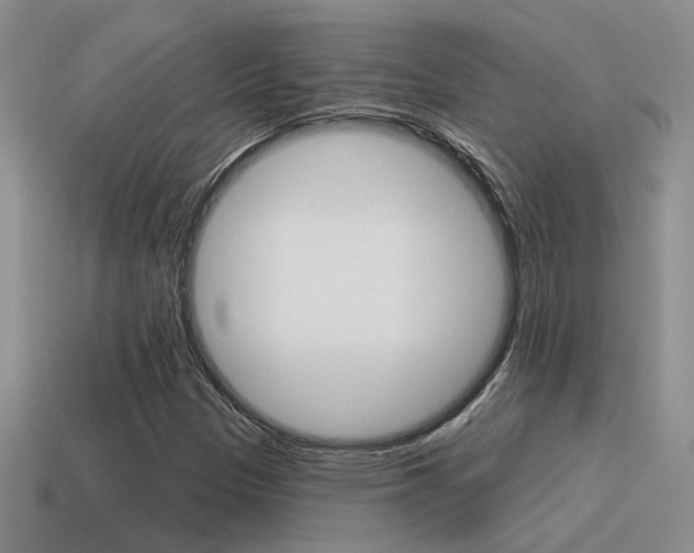 X0000115551305200911061118