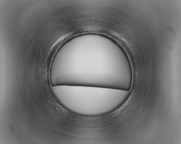 X0000115551306200911061118