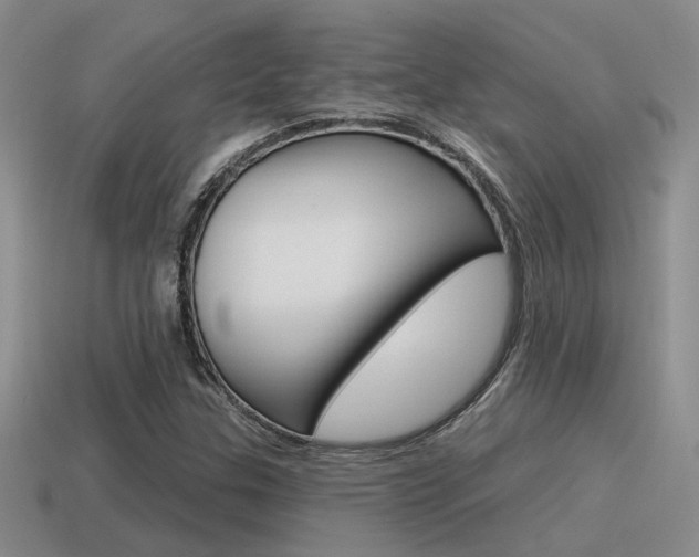 X0000115551307200911061118