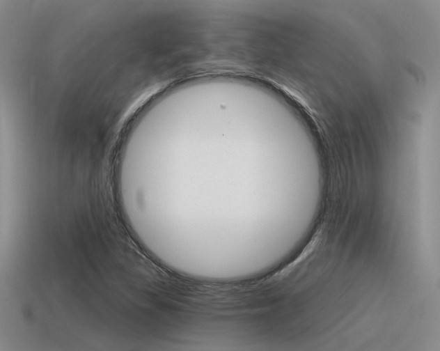 X0000115551309200911061118