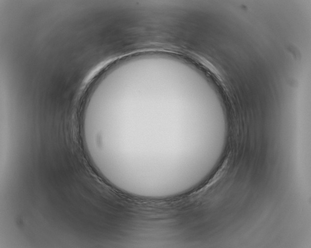 X0000115551310200911061118