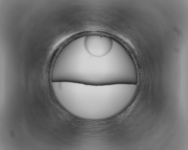 X0000115551311200911061119