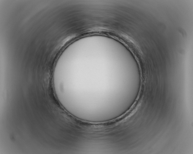 X0000115551313200911061119