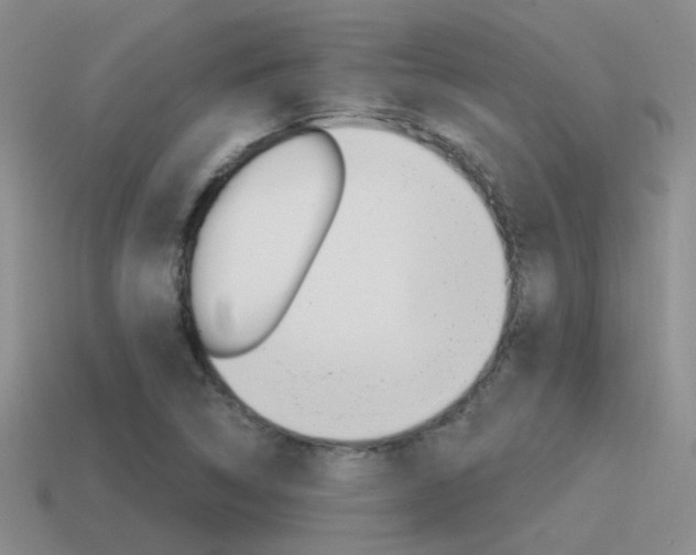 X0000115551314200911061119