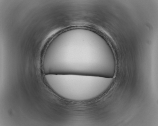 X0000115551315200911061119