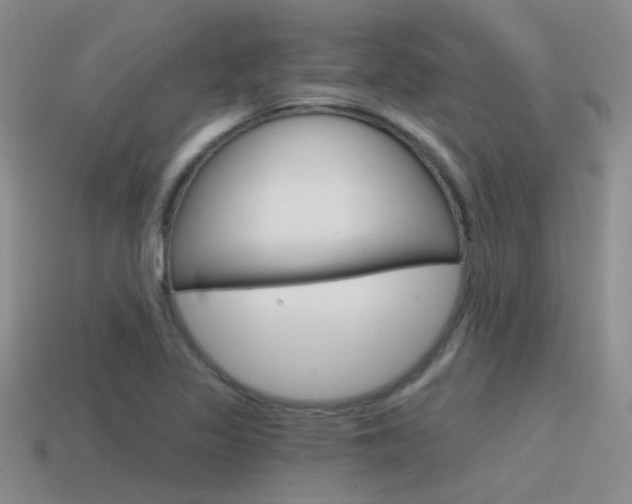 X0000115551317200911061119