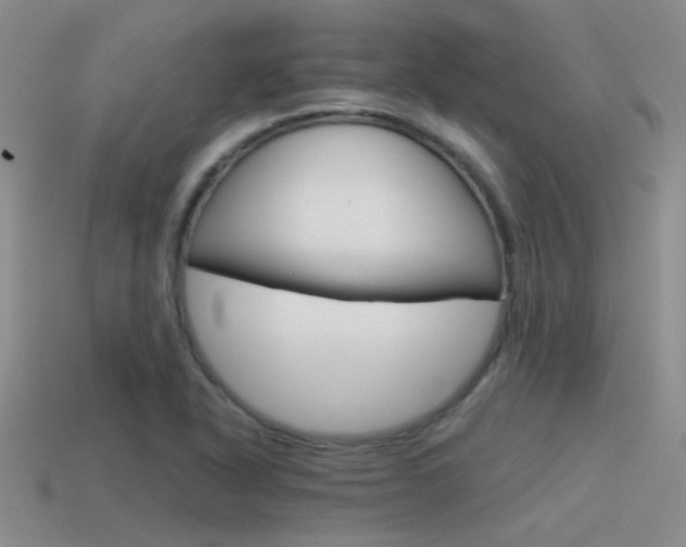 X0000115551318200911061119