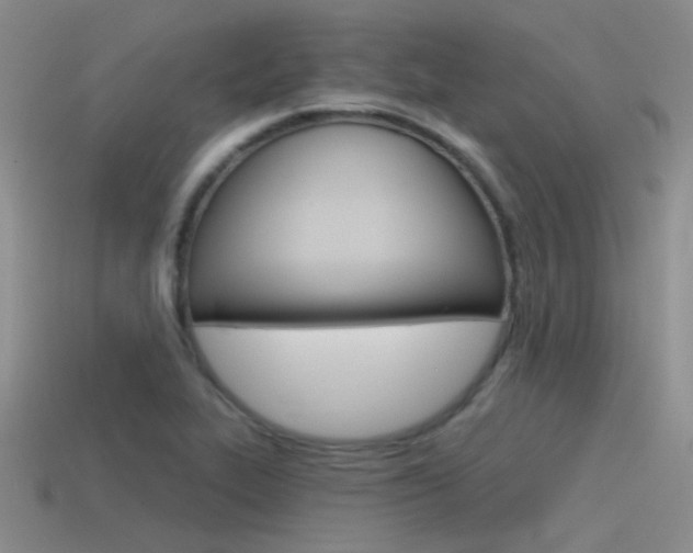 X0000115551319200911061119