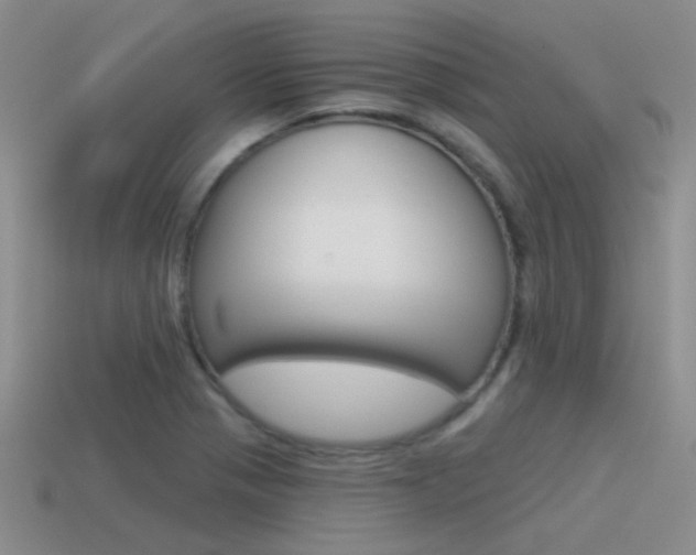 X0000115551321200911061119