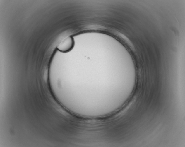 X0000115551322200911061119