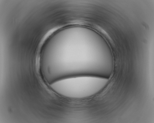 X0000115551323200911061119