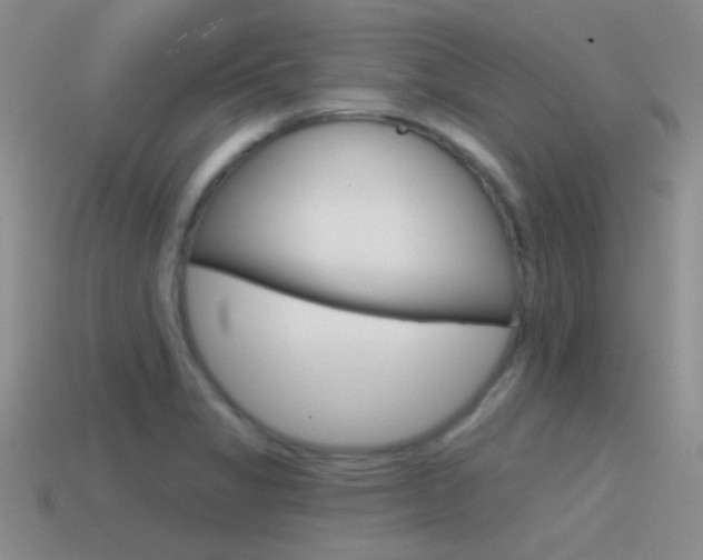 X0000115551325200911061119