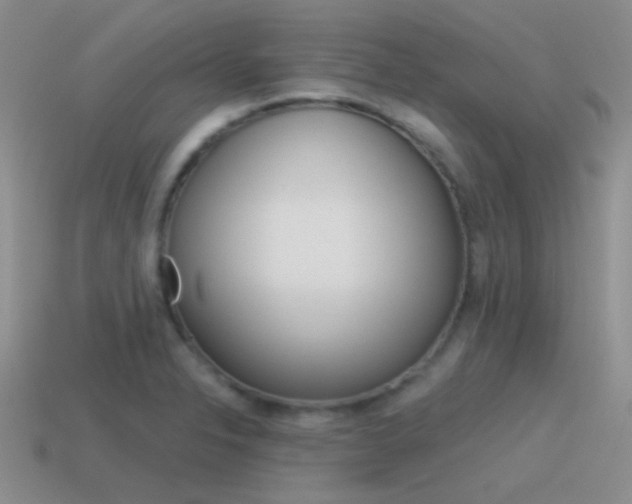 X0000115551326200911061119