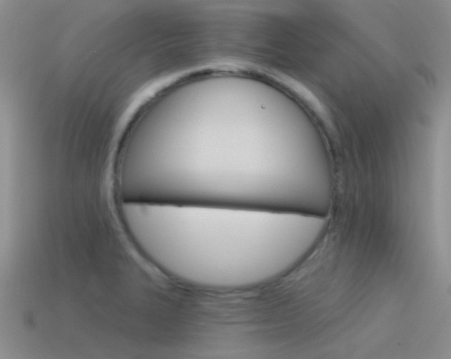 X0000115551327200911061119