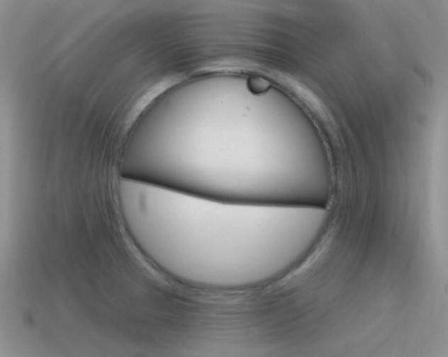 X0000115551329200911061119