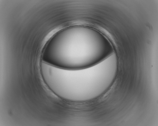 X0000115551330200911061119