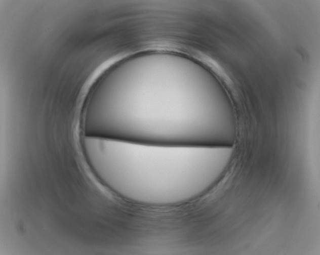 X0000115551331200911061119