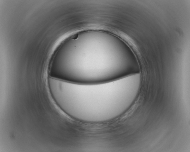 X0000115551334200911061119