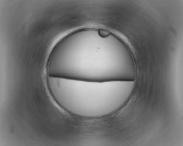 X0000115551335200911061119