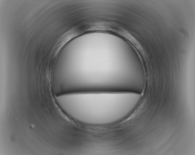 X0000115551337200911061119