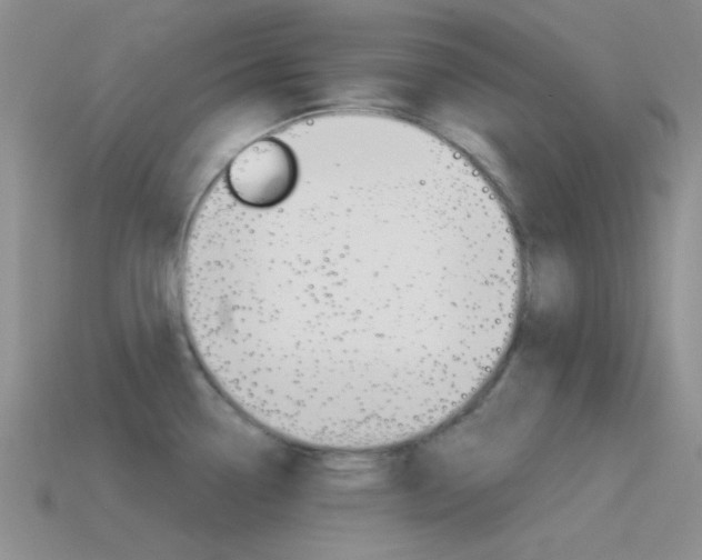 X0000115551338200911061119