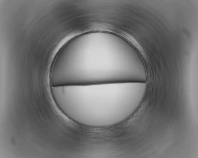X0000115551339200911061119