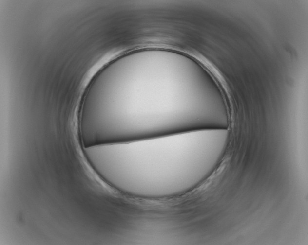 X0000115551341200911061119