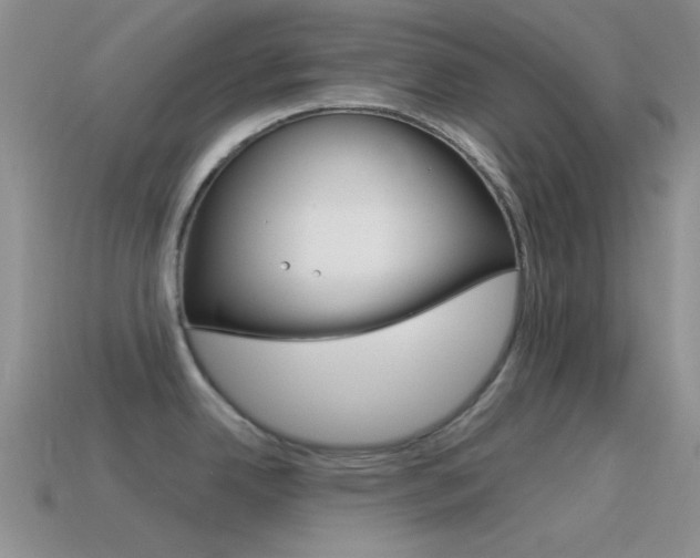 X0000115551342200911061119