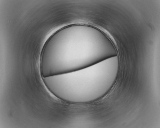 X0000115551343200911061119