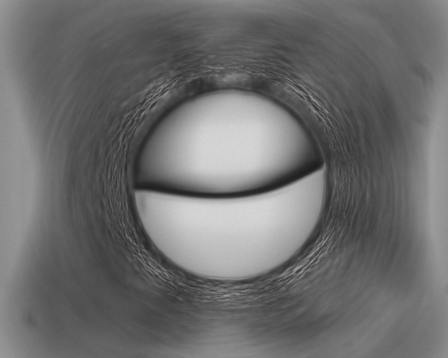 X0000115551345200911061118