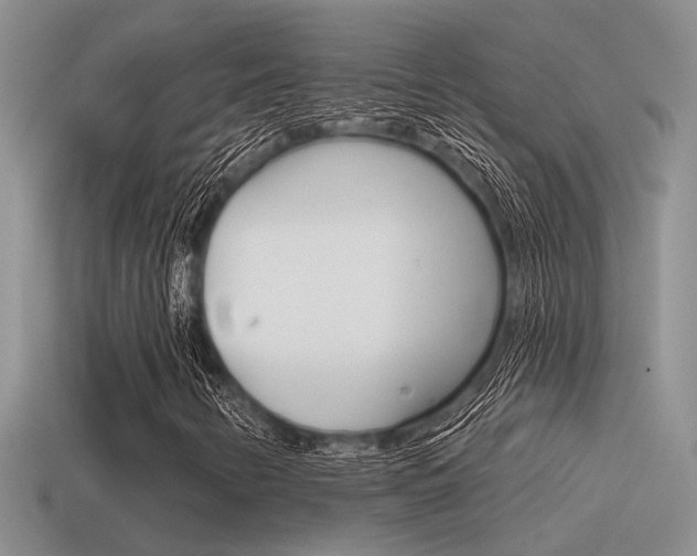 X0000115551346200911061118