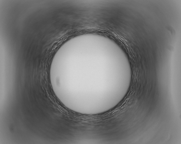 X0000115551349200911061118