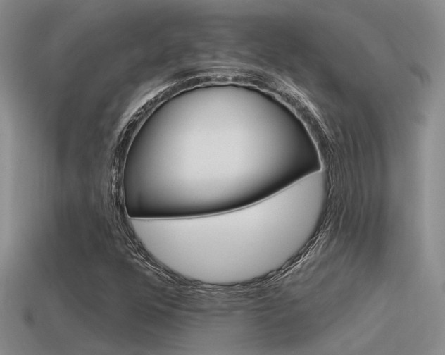 X0000115551352200911061118
