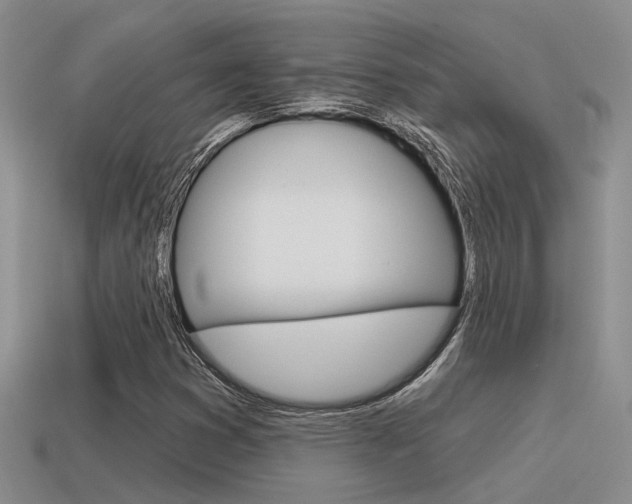 X0000115551353200911061118