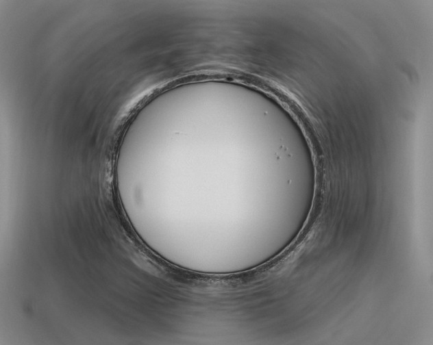 X0000115551355200911061118