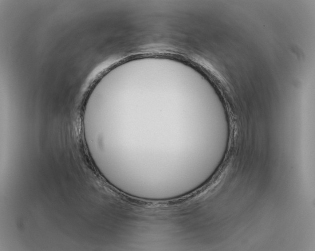 X0000115551358200911061118