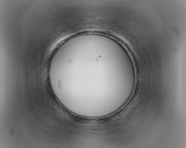 X0000115551359200911061118