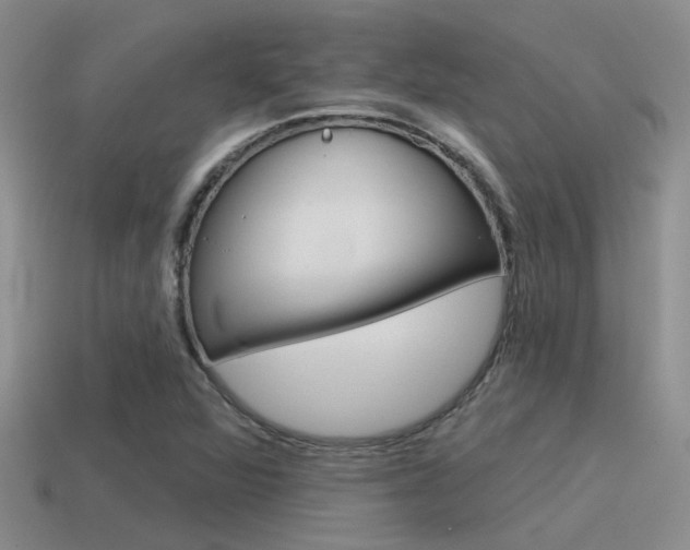 X0000115551360200911061118