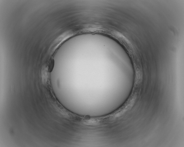 X0000115551361200911061118