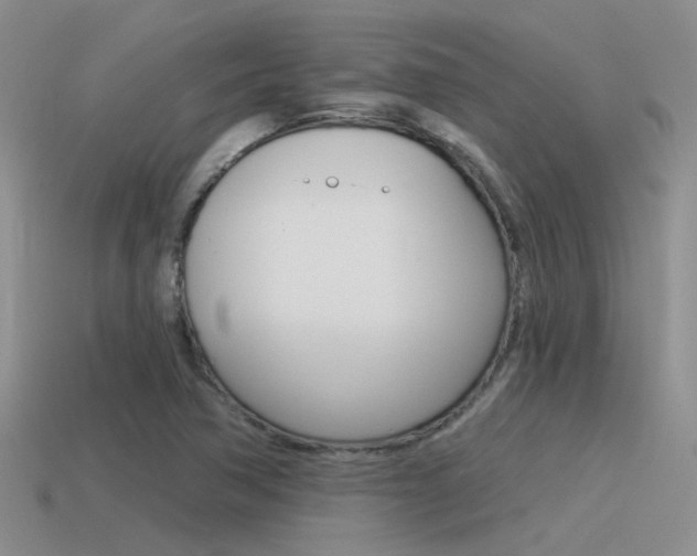 X0000115551362200911061118