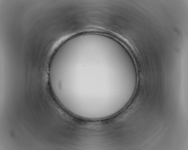X0000115551363200911061118