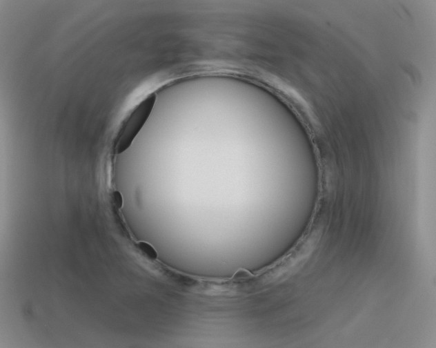 X0000115551365200911061118