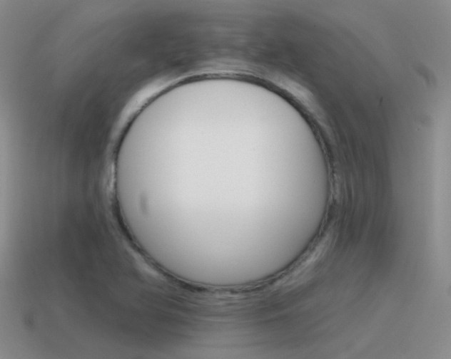 X0000115551366200911061118