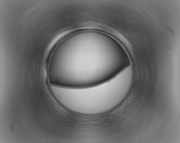 X0000115551368200911061118