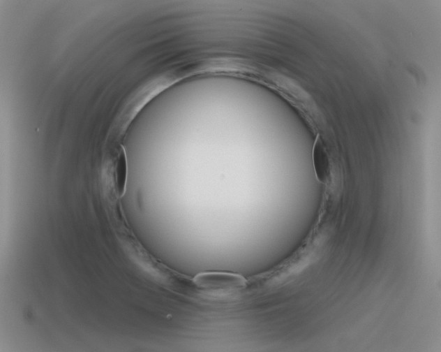 X0000115551369200911061118