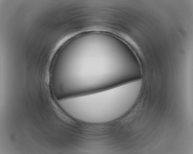 X0000115551372200911061118