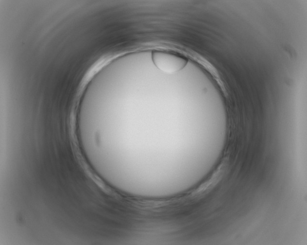 X0000115551373200911061118
