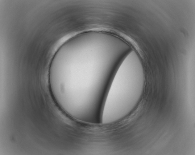 X0000115551375200911061118
