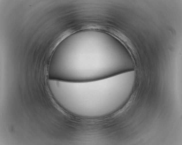 X0000115551377200911061118